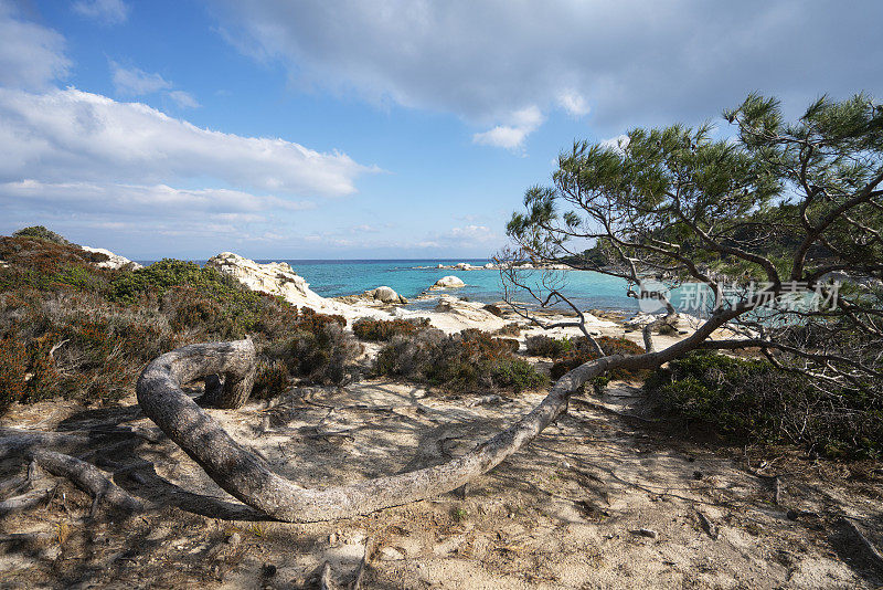 Halkidiki - Sithonia的橙色海滩